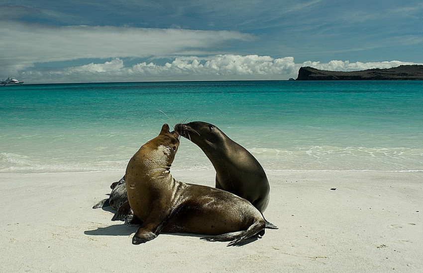 De Galápagos Eilanden