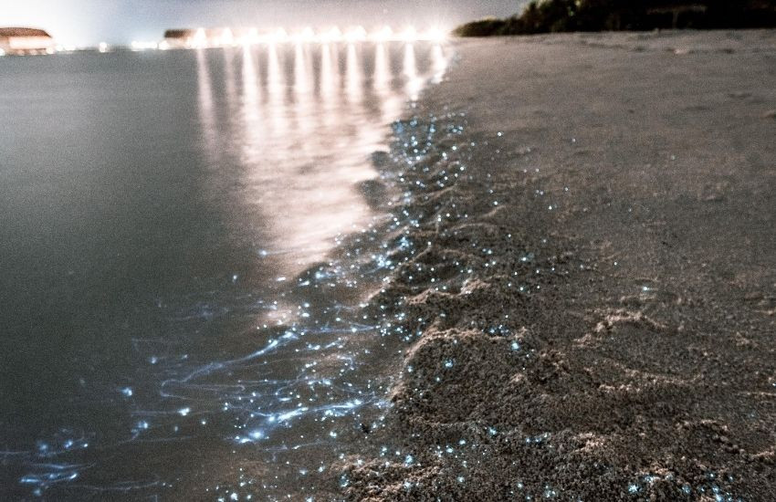 Lichtgevende stranden in de Malediven