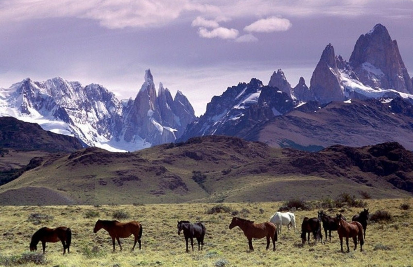 Maak een tour door Patagonië 