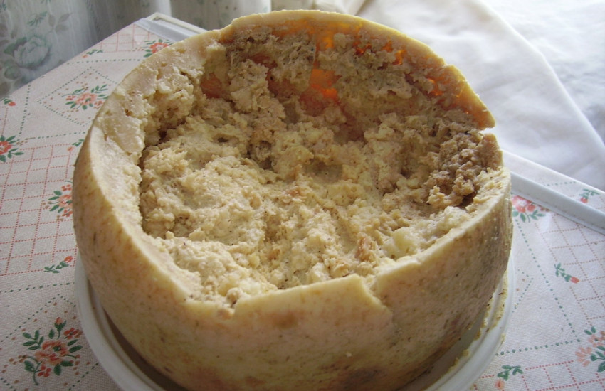 Casu Marzu