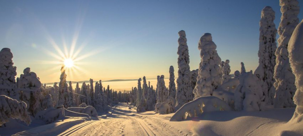 Vakantie Lapland: niet alleen in de winter!